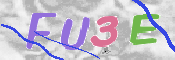 CAPTCHA (Şahıs Denetim Kodu) Resmi