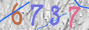 CAPTCHA (Şahıs Denetim Kodu) Resmi