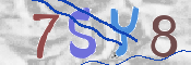 CAPTCHA (Şahıs Denetim Kodu) Resmi