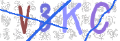 CAPTCHA (Şahıs Denetim Kodu) Resmi