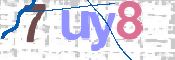 CAPTCHA (Şahıs Denetim Kodu) Resmi