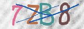 CAPTCHA (Şahıs Denetim Kodu) Resmi