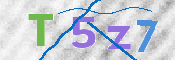 CAPTCHA (Şahıs Denetim Kodu) Resmi