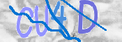 CAPTCHA (Şahıs Denetim Kodu) Resmi