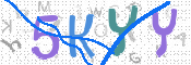 CAPTCHA (Şahıs Denetim Kodu) Resmi