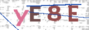 CAPTCHA (Şahıs Denetim Kodu) Resmi