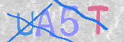 CAPTCHA (Şahıs Denetim Kodu) Resmi