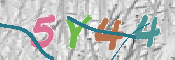 CAPTCHA (Şahıs Denetim Kodu) Resmi