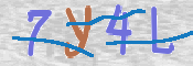 CAPTCHA (Şahıs Denetim Kodu) Resmi