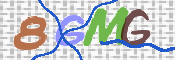 CAPTCHA (Şahıs Denetim Kodu) Resmi