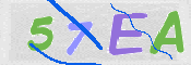 CAPTCHA (Şahıs Denetim Kodu) Resmi