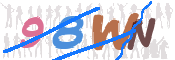 CAPTCHA (Şahıs Denetim Kodu) Resmi