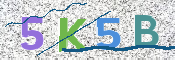 CAPTCHA (Şahıs Denetim Kodu) Resmi