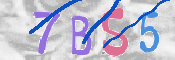 CAPTCHA (Şahıs Denetim Kodu) Resmi