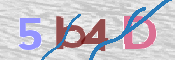 CAPTCHA (Şahıs Denetim Kodu) Resmi